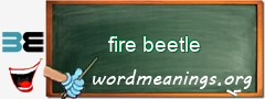 WordMeaning blackboard for fire beetle